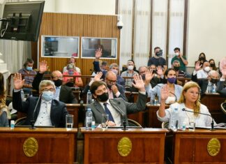 Profesores de Educación Física tendrán su Colegio