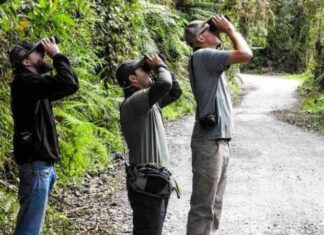 Inscriben para un curso de Turismo Sostenible