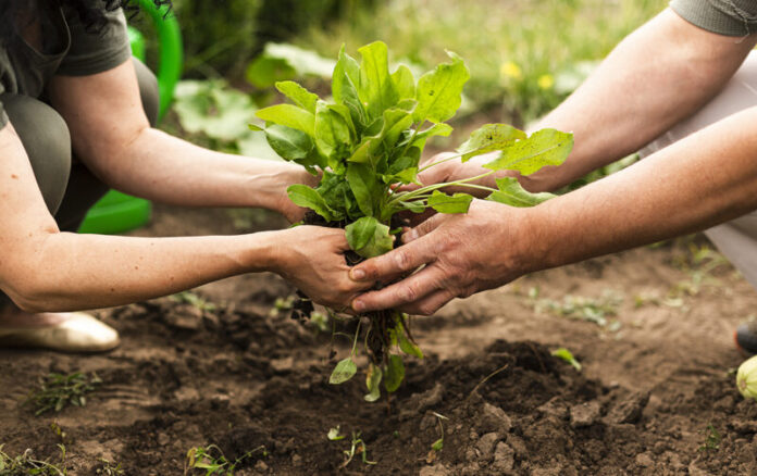 La-agroecologia-1200x754-1