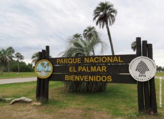 Proyectan optimismo por las cifras de vacaciones de invierno: ¿Cómo es la situación de Entre Ríos?