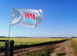 INTA. Gráficos de barra, los preferidos en extensión rural