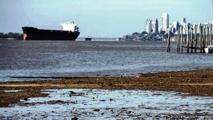 PÁGINA 8 RÍO PARANÁ BAJANTE