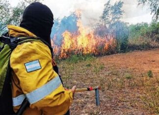 Denuncian incendios intencionales