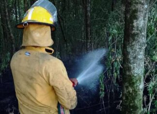 Bomberos de Basavilbaso combatieron varios focos ígneos