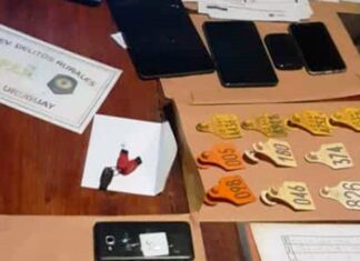 La policia investiga el robo de 30 animales vacunos