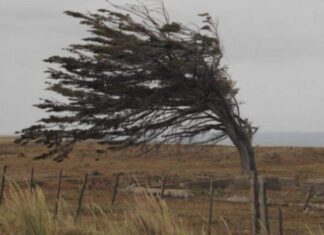 Condiciones climáticas. Lanzan advertencia por fuertes ráfagas de vientos