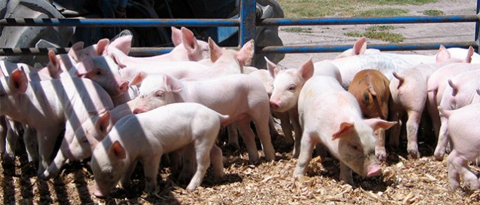 Cama-Profunda-696x298