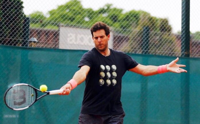 DEPORTES P 13 DEL POTRO TENIS