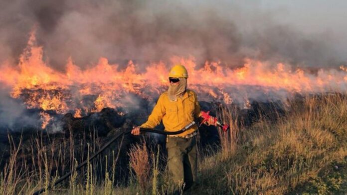 incendios-en-corrientes-20220216-1313762