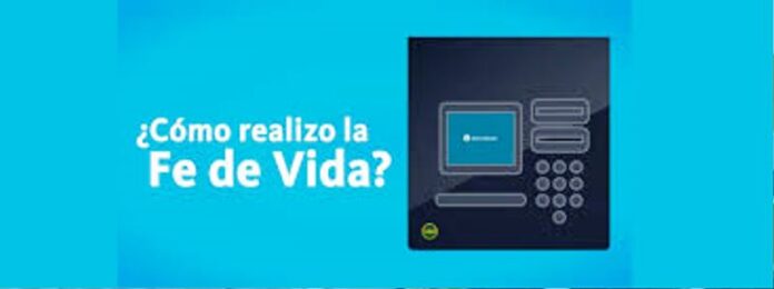 p4 anses - fe de vida1