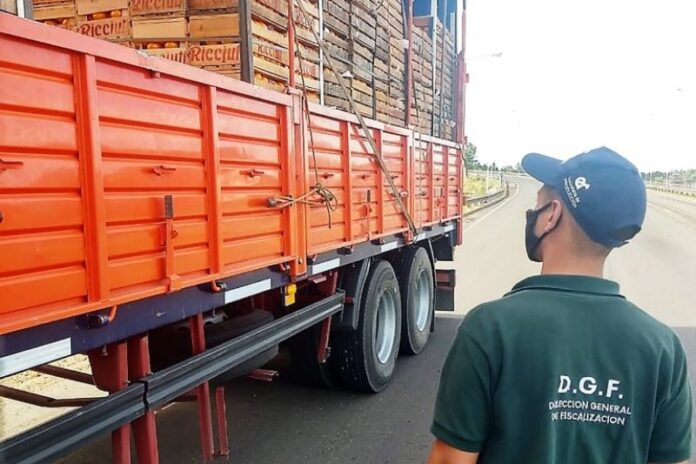 p8 - El citrus exportado alcanzó los niveles del 2013