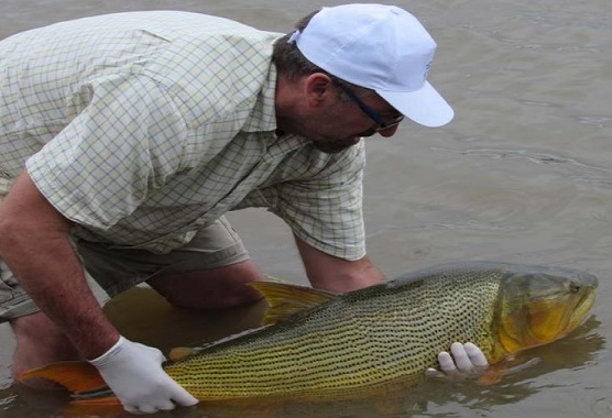 AMBIENTE - pesca01