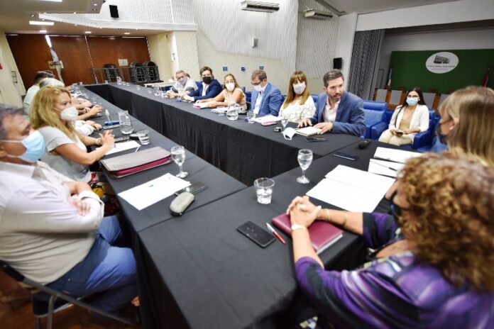 P1 - docentes 2