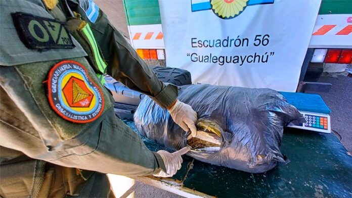 Pagina 7 18 de marzo 2022 Viajaba con 11 kilos de marihuana
