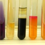 WhatsApp Image 2022-03-05 at 12.39.56 (1)