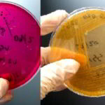 WhatsApp Image 2022-03-05 at 12.39.56