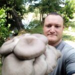 gírgolas en islas del ibicuy