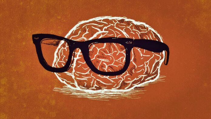 neurociencia-1024x576