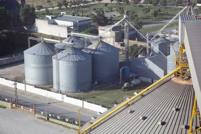 p8 Silos Soja