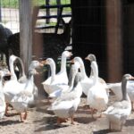 WhatsApp Image 2022-04-08 at 3.44.18 PM (1)