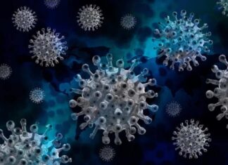 COVID: En la Histórica se están realizando test y el 50% da positivo