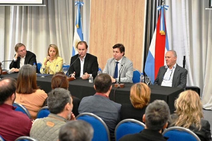 p1 millonaria inversión1