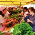p14 – La economía popular superó al empleo privado