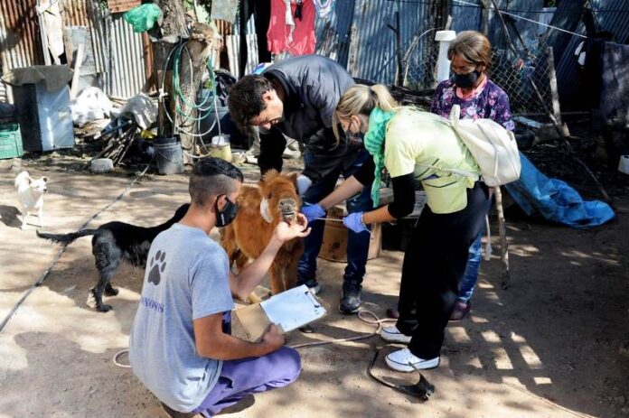 p4 operativo sanitario1