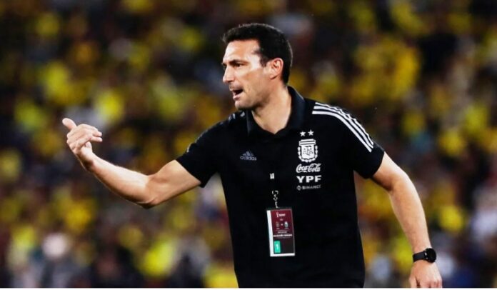 DEPORTES PAG 12 - SCALONI