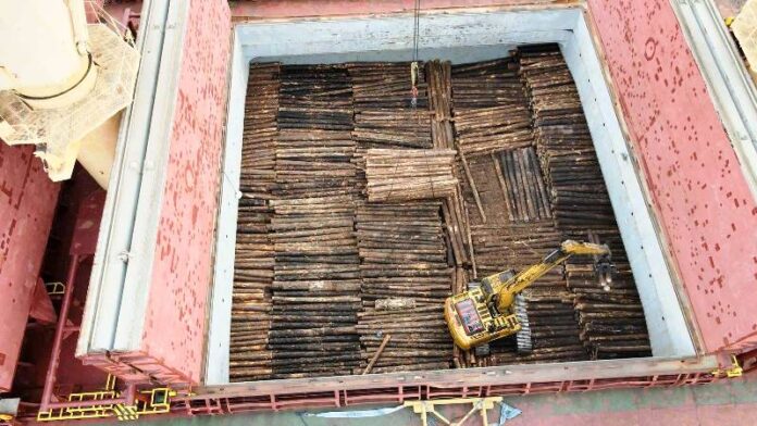 p3 exportación de madera para india1