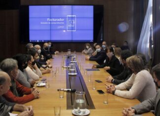 ¿Cómo es el nuevo facturador de la AFIP?