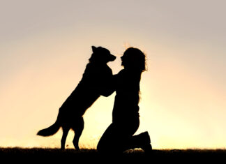 Día Nacional del Perro