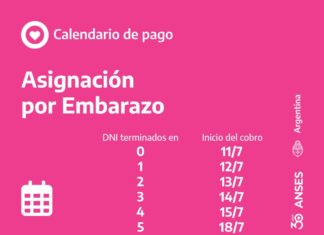 ANSES dio a conocer que hoy inician los pagos de la Asignación por Embarazo y las becas Progresar