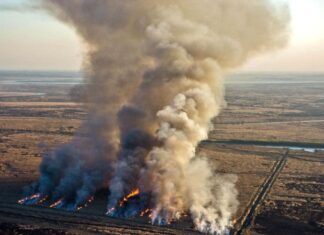 Delta del Paraná. Nación registró 4220 focos de incendios