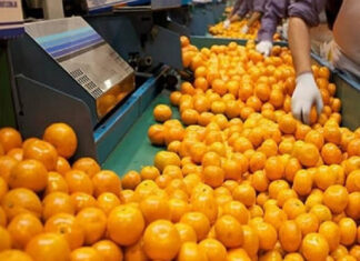 Productores destacan la gestión con EE.UU.