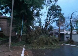 Los fuertes vientos azotaron a la zona y provocaron serios destrozos
