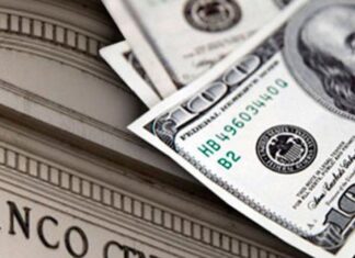 Dólar hoy: La cotización libre sube a un récord de $295 y el “contado con liqui” llegó a $301