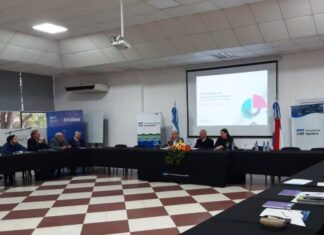 Se trabaja en la producción y uso de la Información