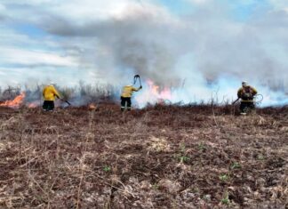 Recurren a la Justicia Federal por los incendios