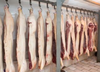 Controles a importaciones de carne de cerdo