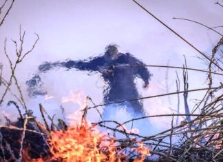 Nuevos focos ígneos afectan a los humedales