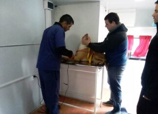 Quirófano Móvil de Zoonosis: Estará hasta el 5 de noviembre en el 192 Viviendas