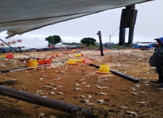 Realizan un relevamiento de los lugares afectados