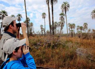 Estiman la movilización de seis millones de turistas