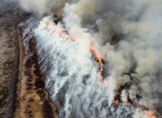 Cabandié reprochó a Entre Ríos por nuevos incendios en el Delta