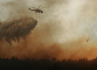 Reportaron tres focos activos de incendios forestales en Entre Ríos