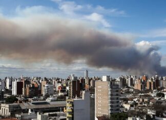 El intendente de Rosario denunció nuevas quemas en islas entrerrianas