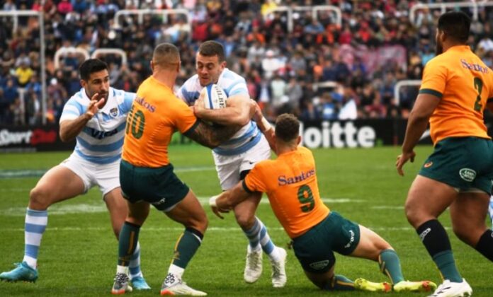 DEPORTES PAG 6 - LOS PUMAS