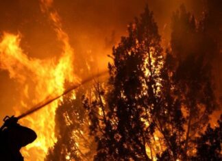 Yo digo… ¿Es posible reducir los incendios forestales? – (Primera Parte)