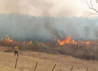 Buscan dar con los culpables de los incendios forestales